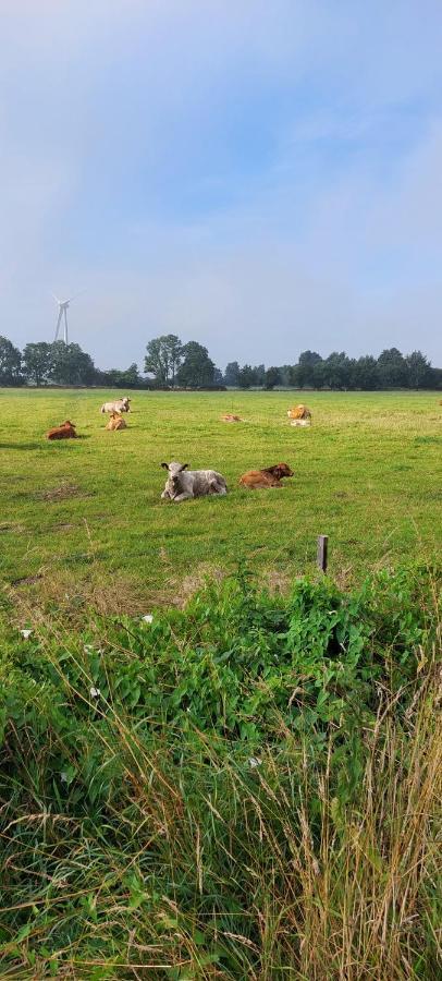 Ferienwohnung Matzibarg Ahrenviol Esterno foto